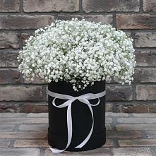 Цветочная композиция из Гипсофила в шляпной коробке #REPLACE_PRED# Находке